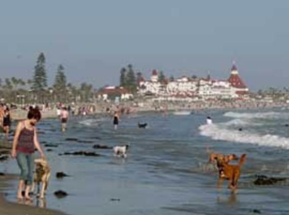 Hillcrest House Bed & Breakfast San Diego Dış mekan fotoğraf